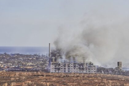 Maui Wildfire