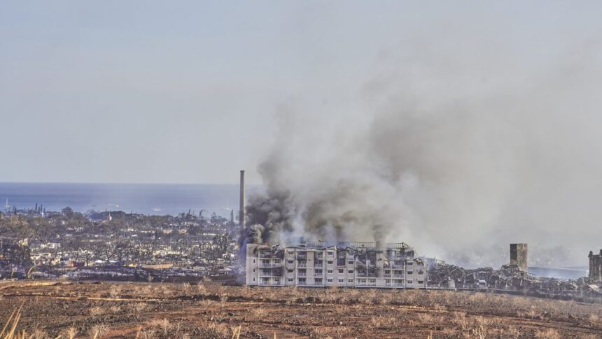 Maui Wildfire